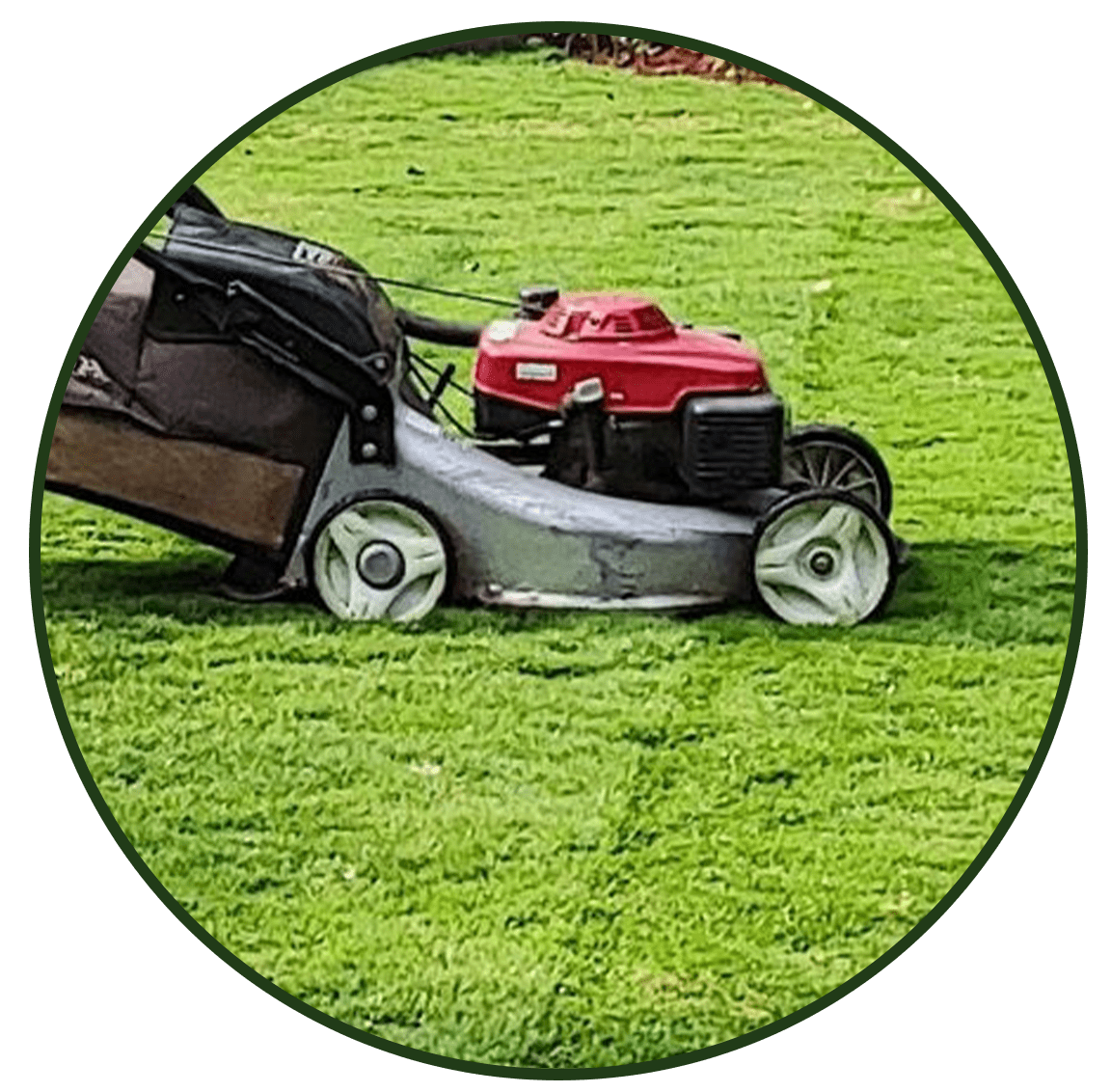 Grey lawn mower